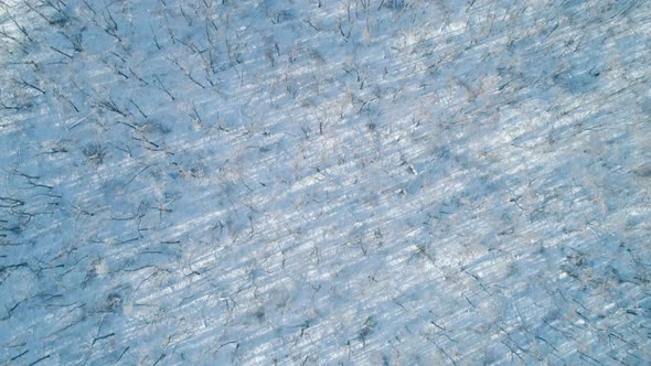 Aerial Winter Mountain Landscape of a Frozen Forest with Snow and Ice Covered Trees on a Sunny