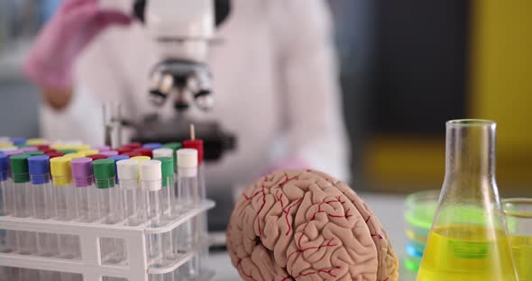 Scientist Chemist Doing Microscopic Examination in Front of Artificial Model of Human Brain in