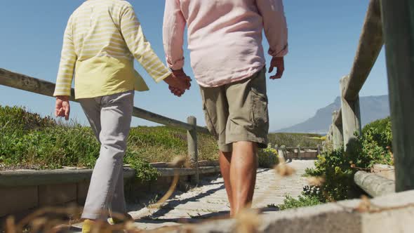 Rear view of senior caucasian couple holding hands and walking on path leading to the beach