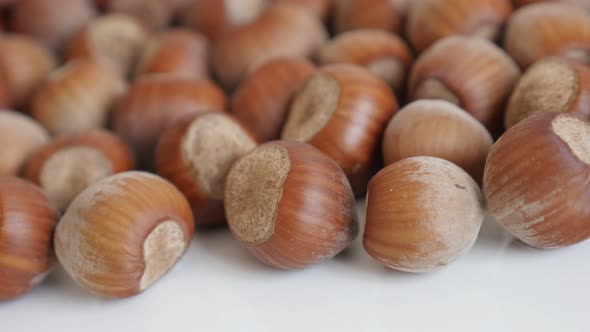 Panning on ripe hazelnuts on white background  4K 2160p 30fps UltraHD footage - Nuts of the species 