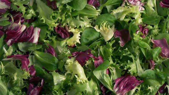 Leaf Salad Rotating In Bowl