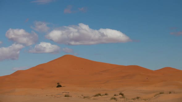 Merzouga Desert15