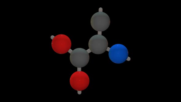 L- alanine - Amino acid model