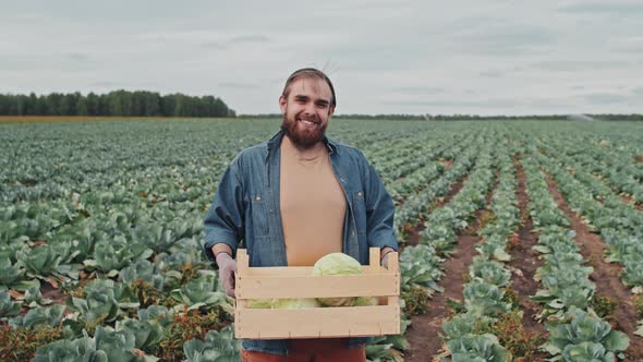 Happy Farmer With Box Of Cabbage