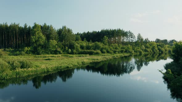 Drone Flight View Above Calm River Surface. Green Forest Woods Landscape In Sunny Summer Evening