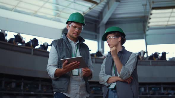 Livestock Workers Checking Production Facility