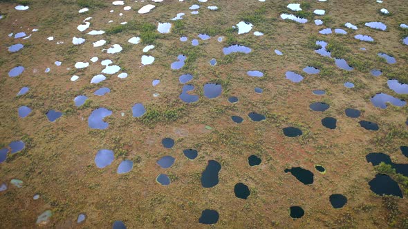 Flying Over Wild Nature with Huge Swamp at Sunny Summer Day