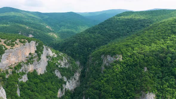 Green Forest and Big Mountain Canyon