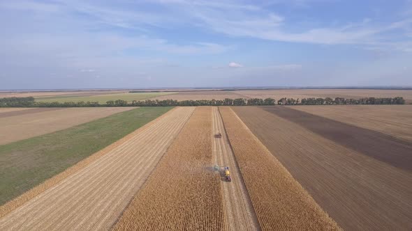 Corn Harvest And Rural Area Areal Landscape