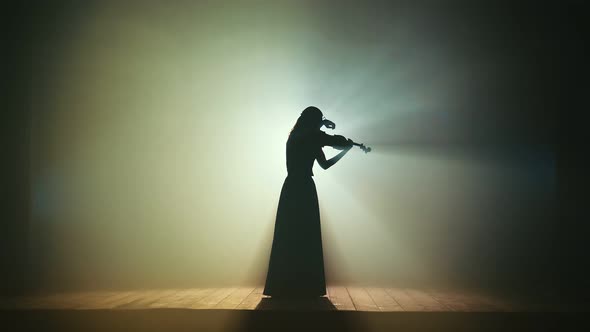 Silhouette of a Charming Girl Violinist in a Long Dress