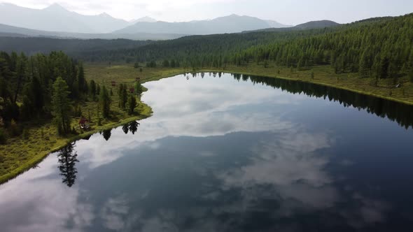 forest by the lake in the mountains