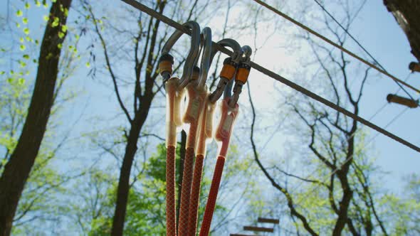 Carabineers attached to a cable