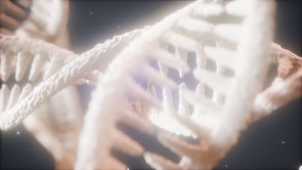 Double Helical Structure of Dna Strand Close-up Animation alt