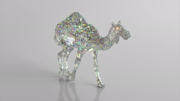 Walking Diamond Camel