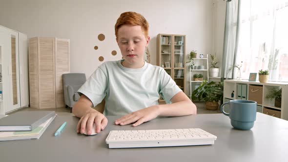 Caucasian School Boy Having Video Lesson