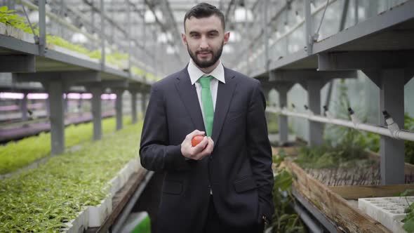 Portrait of Smiling Caucasian Man in Suit Throwing Up and Catching Tomato. Confident Young