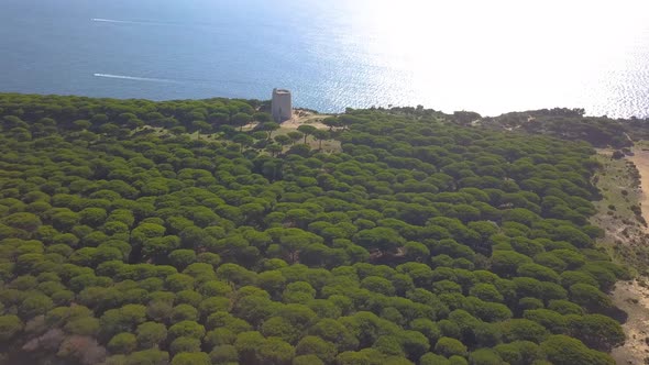 Aerial view of a lighthouse in the top of a big cliff in the mediterranean coast of Spain on a brigh