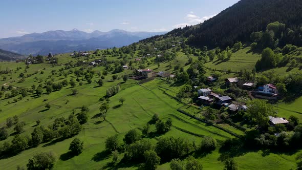 Alpine Meadows