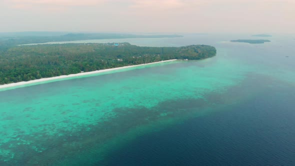 Aerial: uncontaminated coastline tropical beach caribbean sea coral reef palm tree woodland