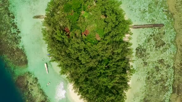 Drone View of Lush Tropical Vegetation Over Beautiful Remote Island.