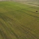 Drone Footage of Stacks Dry Hay Open Air Field Storage - VideoHive Item for Sale