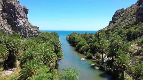 The palm beach of Vai or palm forest of Vai filmed by a drone. Located on the east coast of the Gree