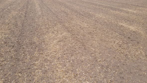 Empty Plowed Field in Autumn Aerial View