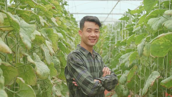 Smiling Asian Farmer Standing In Green House Of Melon Farm With Arms Crossed