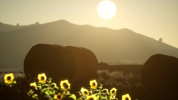 Hay Bales in the Sunset