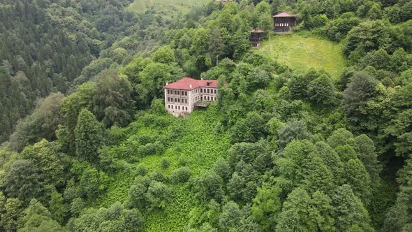 Stone Mansion In The Forest