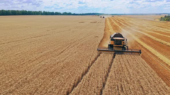 Harvester on wheat field