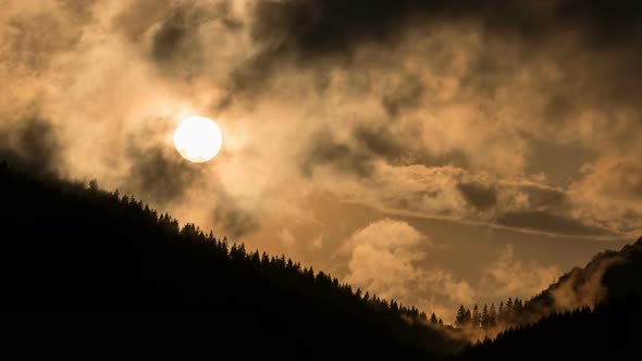 Sunset over Dark Forest