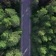 Highway in the Forest - VideoHive Item for Sale