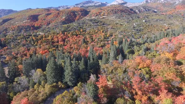 Beautiful fall foliage near Alpine, Utah on a sunny October day as seen from the air.