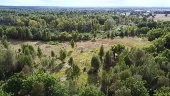 A Flight Over a Forest and a Clearing Aerial Photography From a Quadrocopter Autumn Landscape