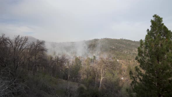 Still shot, White Smoke Rises from California Mountain Forest Fire