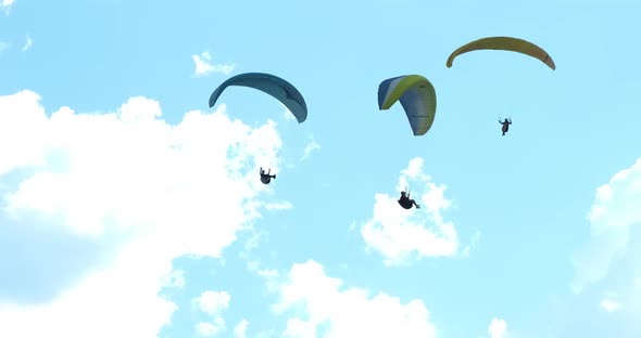 Flights with Paragliding