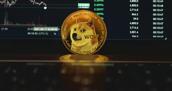 Cryptocurrency Rate DOGE Coin