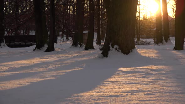 A Snow Covered Park During Sunset. Camera Captures the Snow on the Ground and Slowly Moves