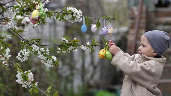 a Cute Child Hangs Colorful Easter Eggs on a Flowering Tree