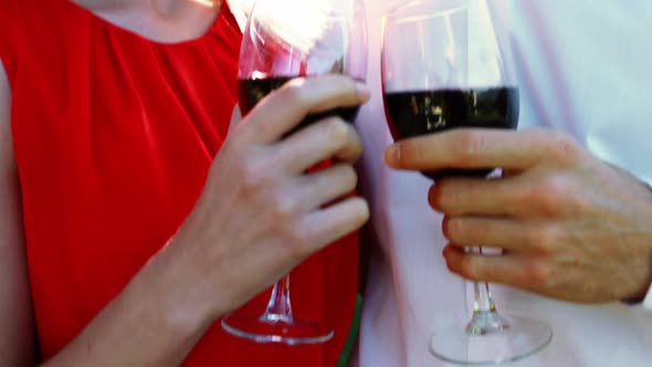 Happy couple toasting wine glasses in park 4k