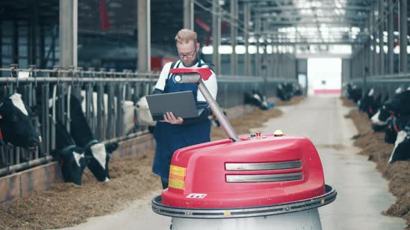 Cowhouse Worker is Managing an Automated Feed Pusher