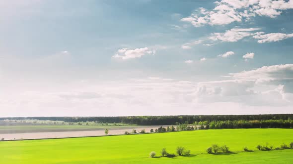 Countryside Rural Field Landscape With Young Wheat Sprouts In Spring Summer Cloudy Day