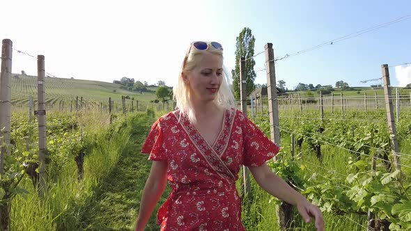 Woman Walking in Vineyards of Hallau