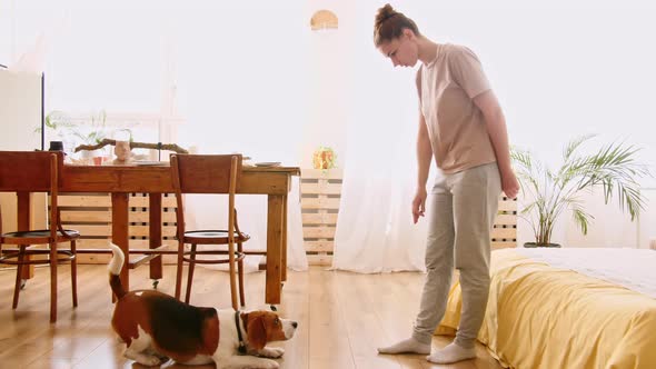 Woman Teach Animal Command