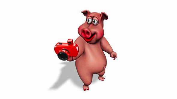 Fun 3D Pig Show Camera  Looped on White