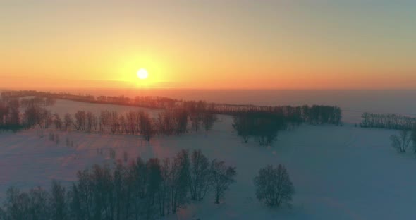 Aerial Drone View of Cold Winter Landscape with Arctic Field, Trees Covered with Frost Snow