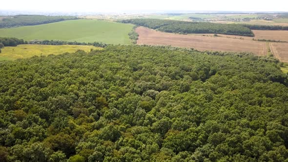 Top down aerial view of green summer forest with many fresh trees.