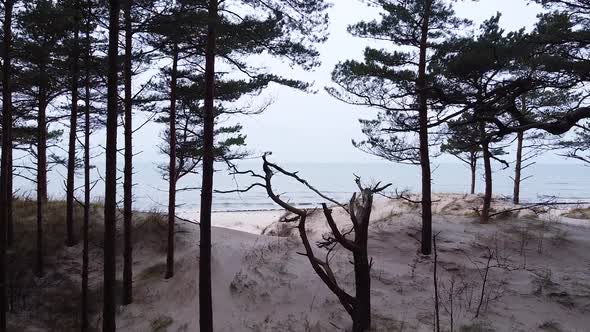 Aerial view of Baltic sea coastline at Bernati beach in Latvia, flying forward through tight coastal