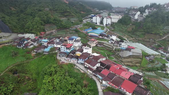 Cameron Highlands, Pahang Malaysia